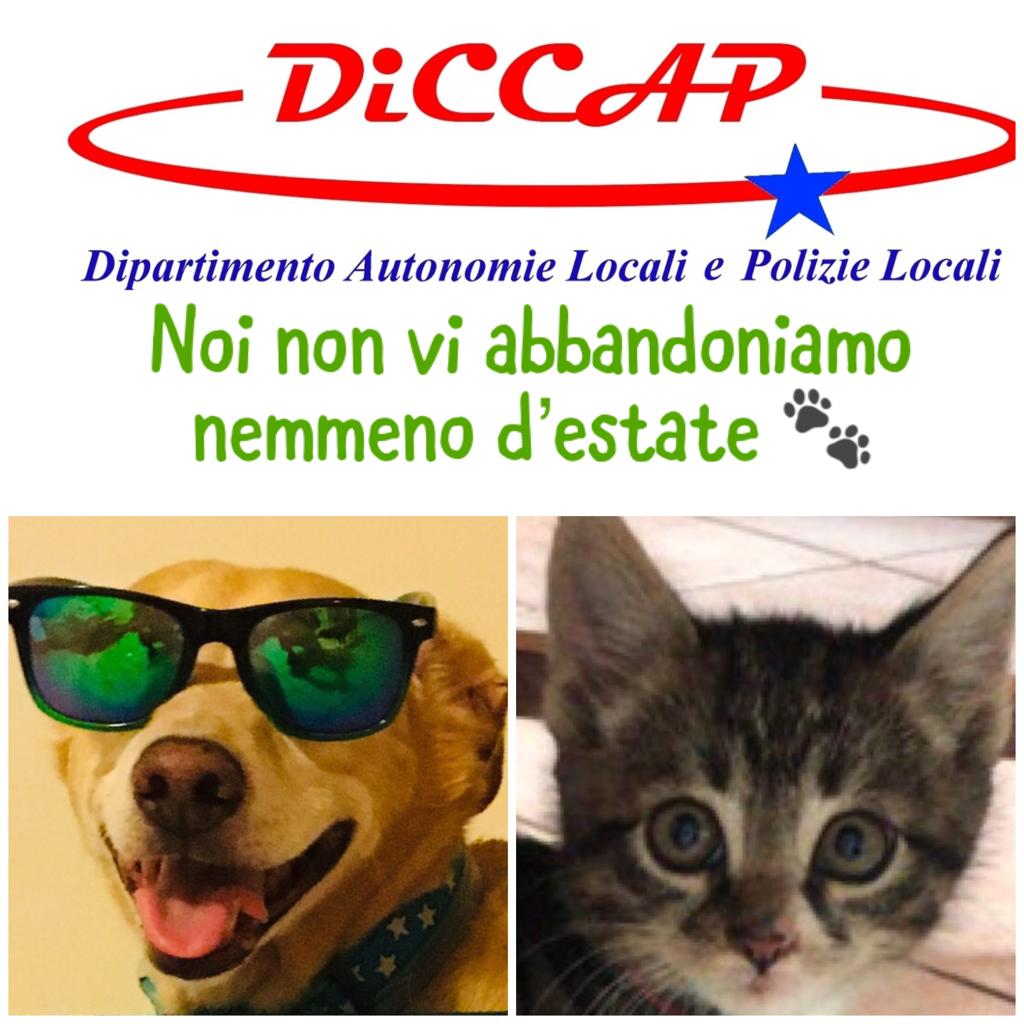 d52924ea f4e6 4e24 93a6 6f8f27d12781